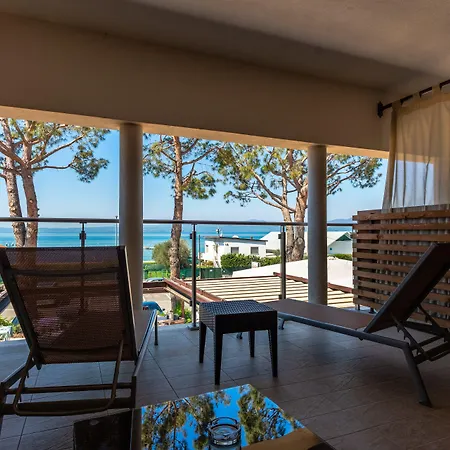 Maximilian Bardolino