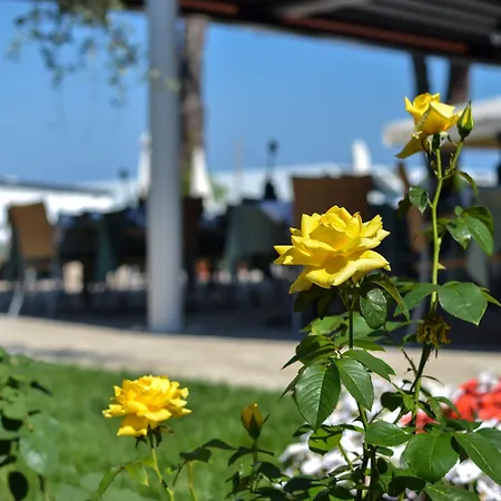 Hotel Maximilian 3*