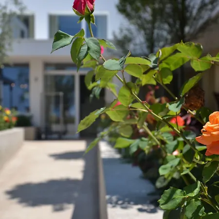 Maximilian バルドリーノ