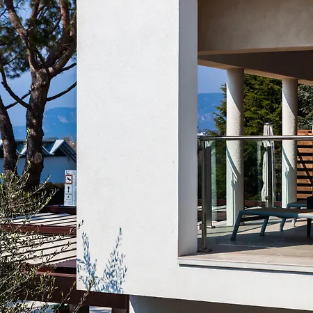 Maximilian バルドリーノ