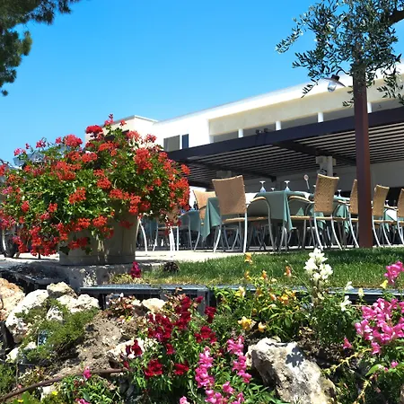 Maximilian バルドリーノ