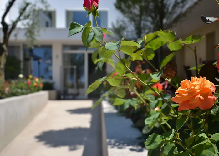 Maximilian 바르돌리노