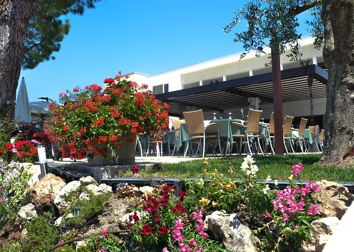 Maximilian 바르돌리노